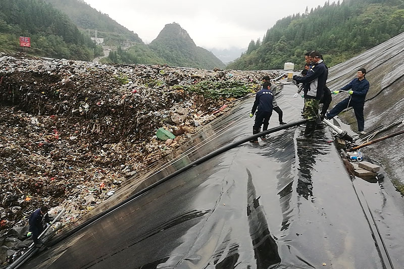 草莓视频在线下载APP网站填埋现场