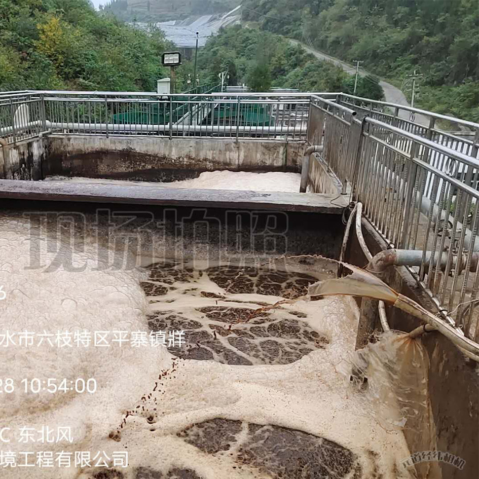 草莓视频在线下载APP网站渗滤液处理中泡沫产生的危害